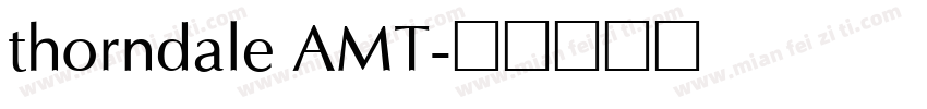 thorndale AMT字体转换